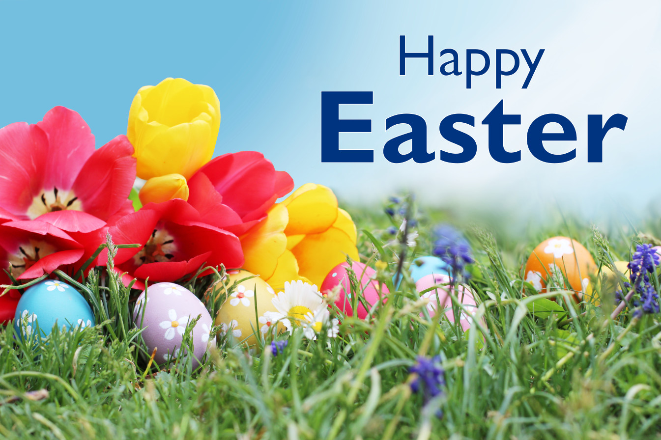 Happy Easter flowers eggs