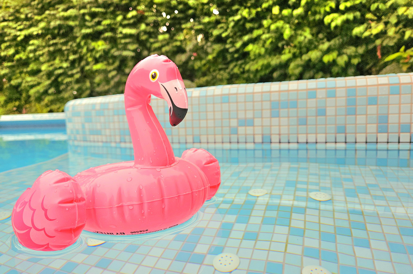 On Vacation Flamingo no text