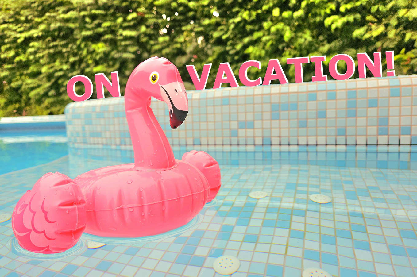 We are on Vacation Flamingo