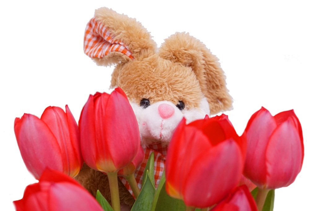 Ostern Osterhase mit Tulpen