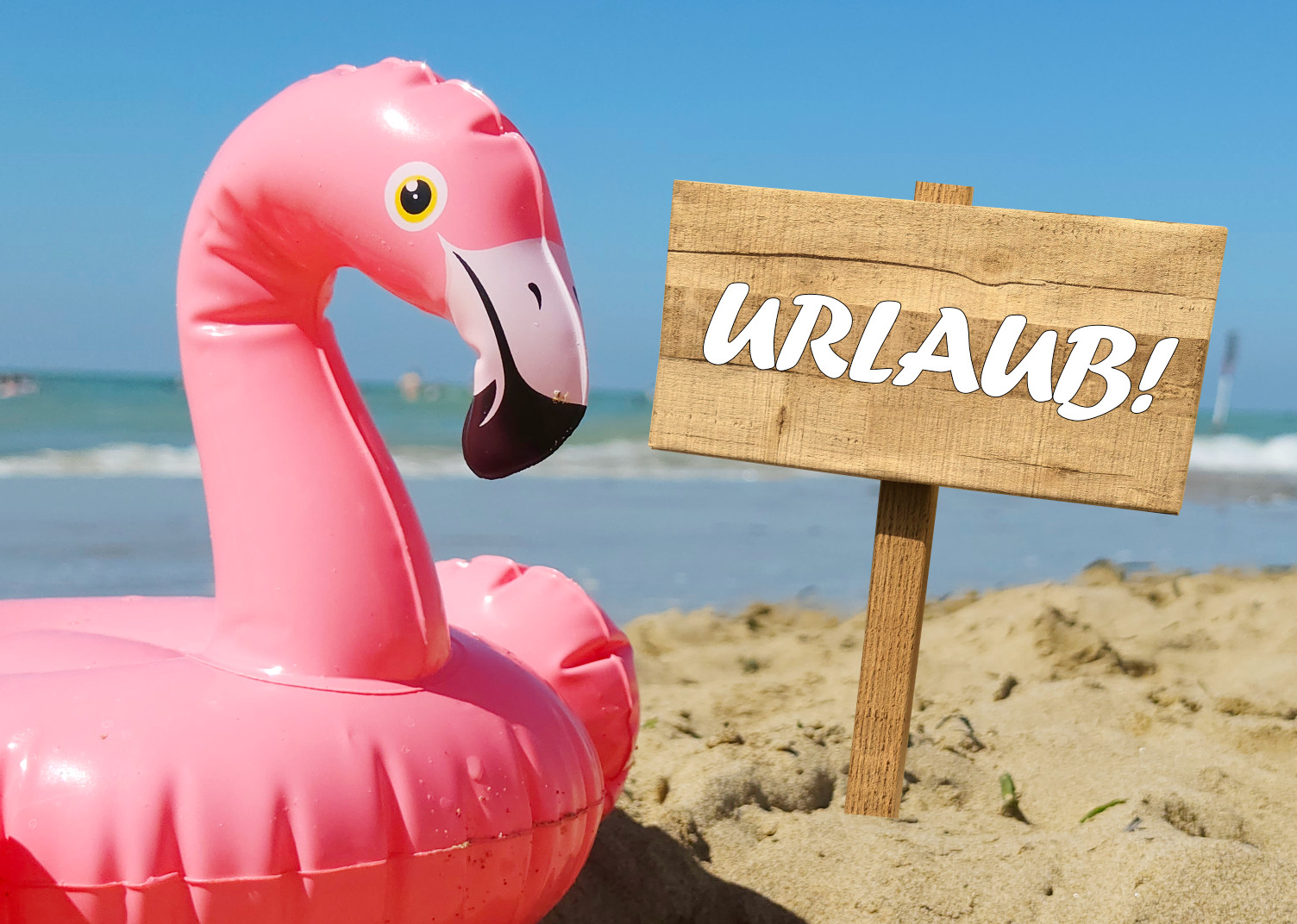 Urlaub Flamingo