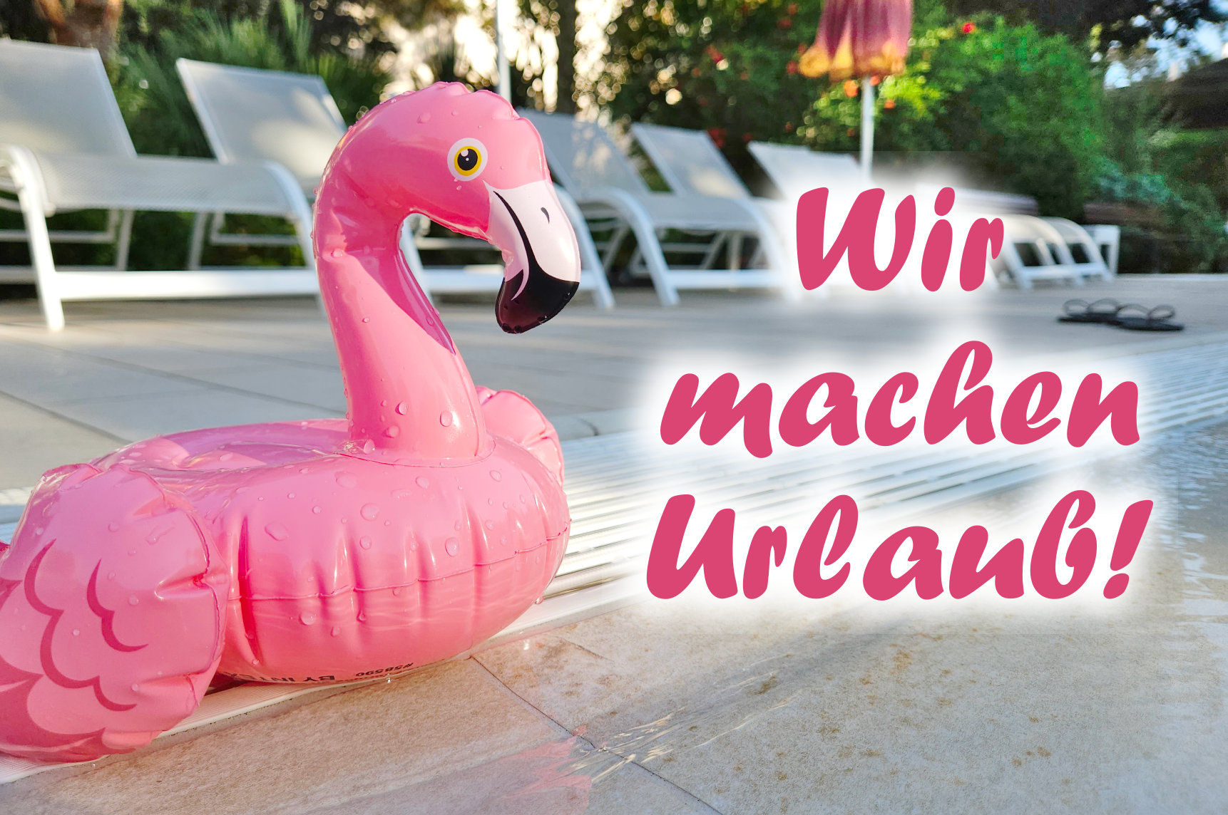 Wir machen Urlaub Flamingo